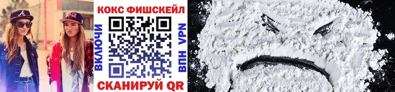 COCAIN Fish Scale  Купить где  Кинель 