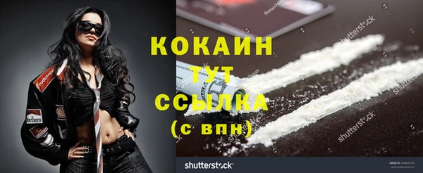 apvp Богданович
