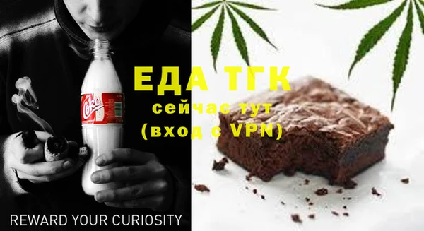 индика Богородск