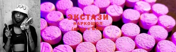 индика Богородск