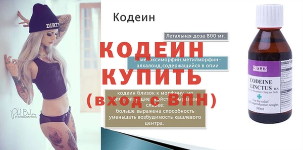 индика Богородск