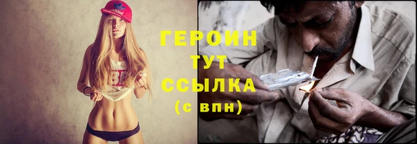 индика Богородск