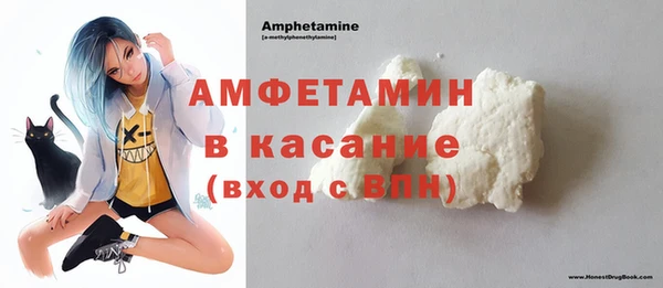 гидра Богородицк