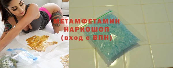 гидра Богородицк