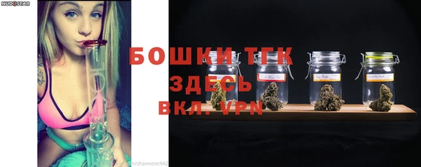 индика Богородск