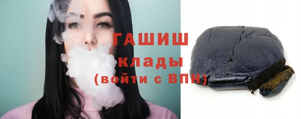 индика Богородск