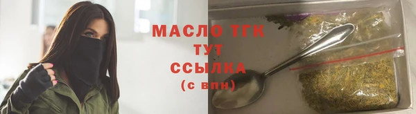 гидра Богородицк