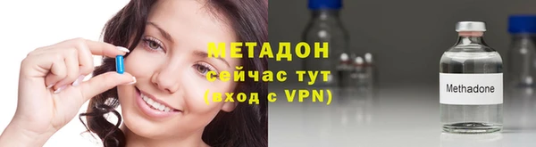 индика Богородск