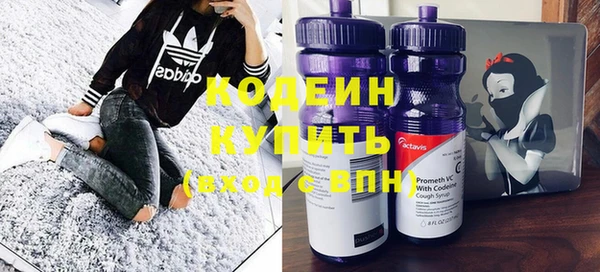 гидра Богородицк