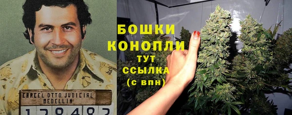 apvp Богданович