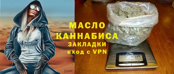 индика Богородск