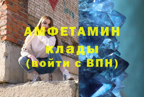 индика Богородск