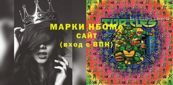гидра Богородицк
