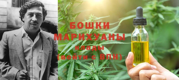 гидра Богородицк