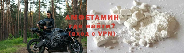 гидра Богородицк