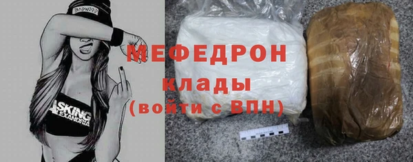 индика Богородск