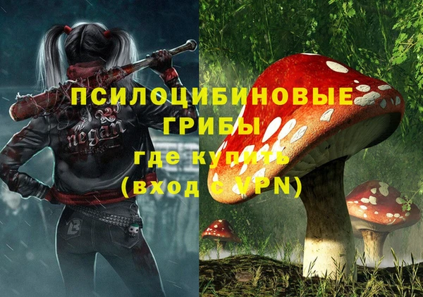 apvp Богданович