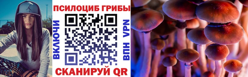 Галлюциногенные грибы Psilocybine cubensis  Купить где  Кинель 