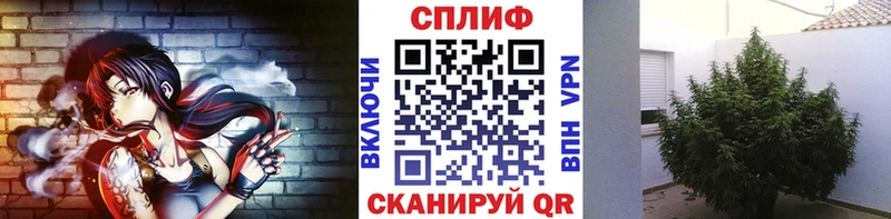 Бошки Шишки LSD WEED Купить закладки Кинель